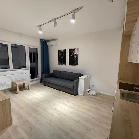 Treasure Luxury Apartment Palace Bukareszt Zewnętrze zdjęcie